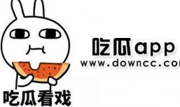 网红黑瓜吃料,揭秘网红美食背后的故事